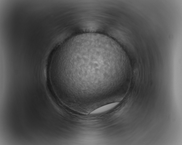 X0000089720638200707121431