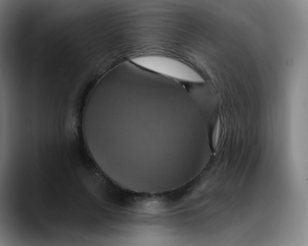 X0000089720643200707121431