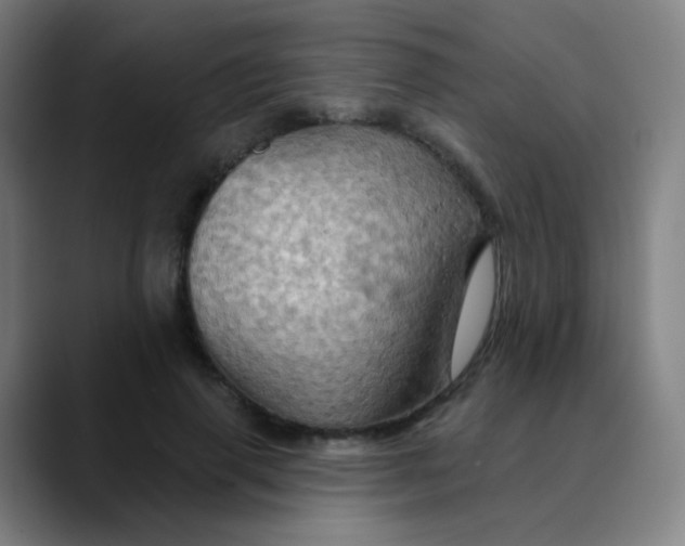 X0000089720645200707121431