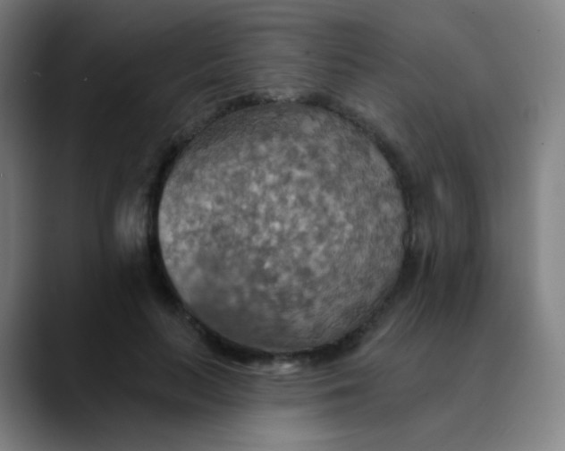 X0000089720647200707121431