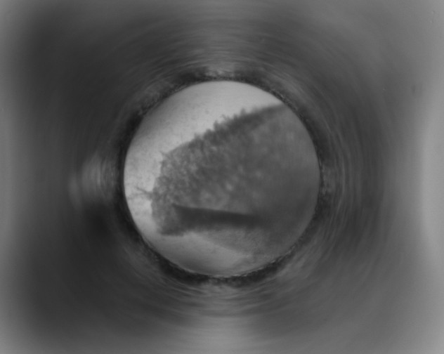 X0000089720648200707121431