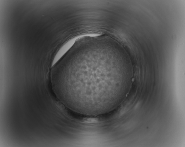 X0000089720649200707121431