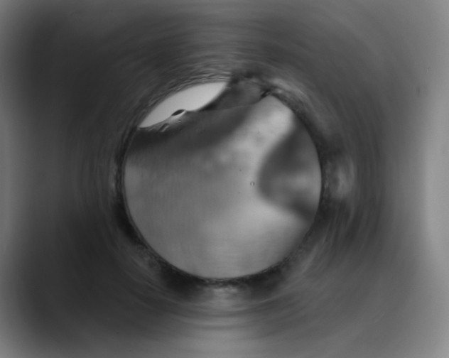 X0000089720650200707121431