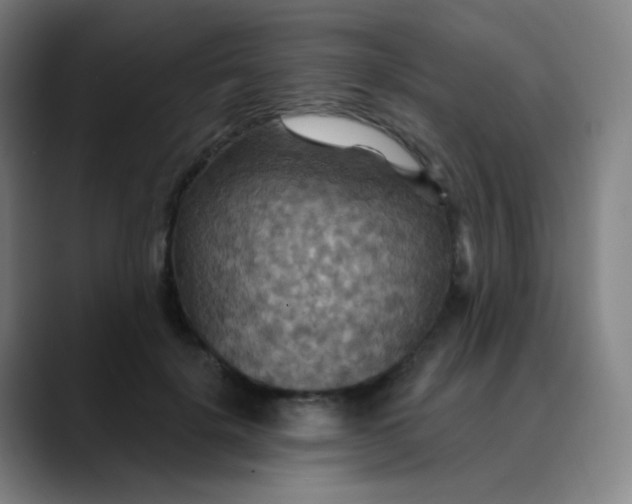 X0000089720652200707121431