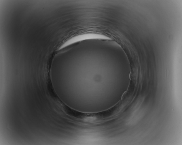 X0000089720653200707121431