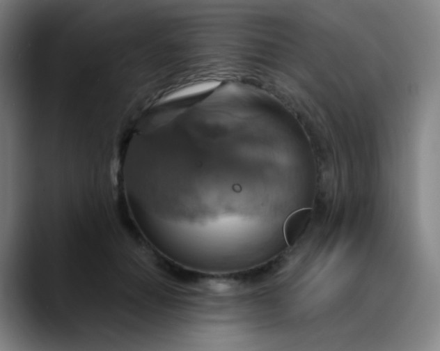 X0000089720654200707121431