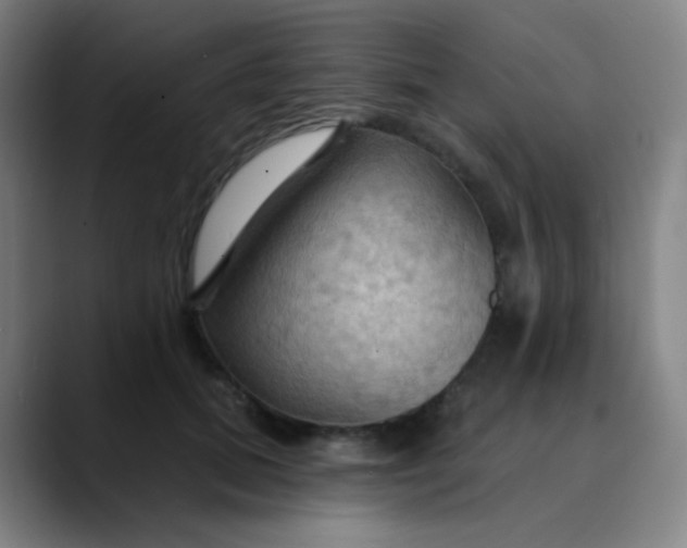 X0000089720655200707121431