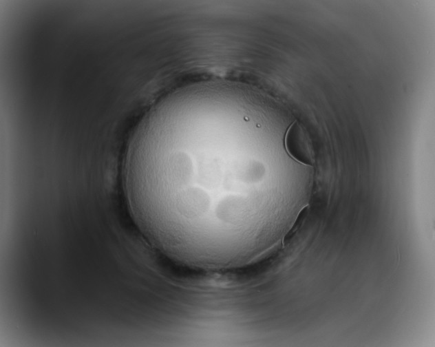 X0000089720656200707121431