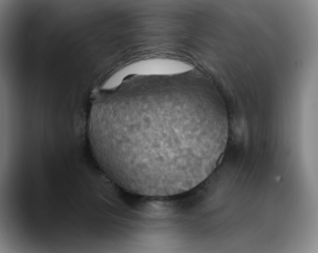 X0000089720657200707121431