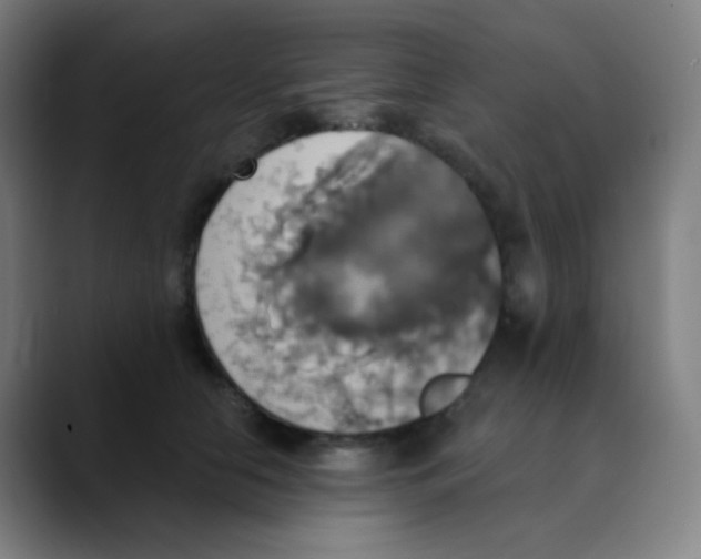 X0000089720658200707121431