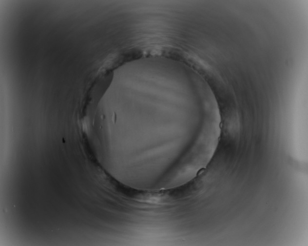 X0000089720661200707121432