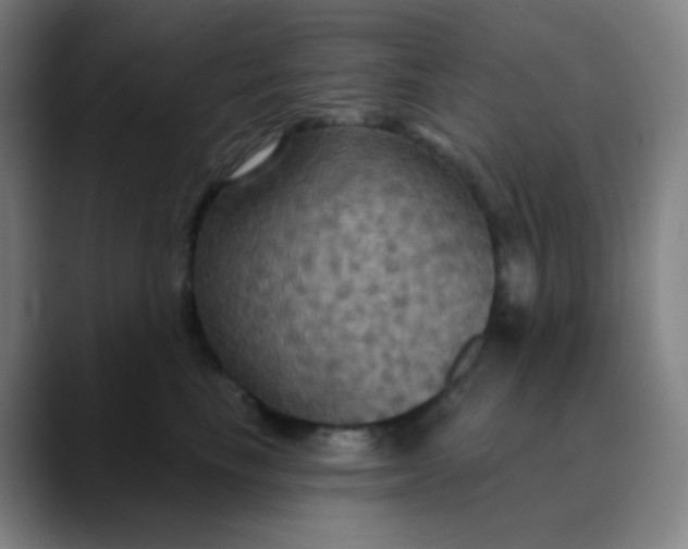 X0000089720665200707121432