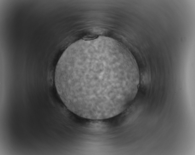 X0000089720666200707121432