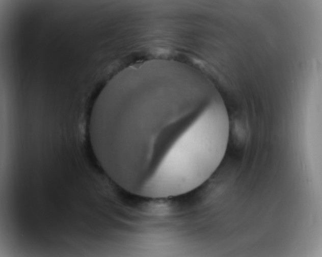 X0000089720668200707121432