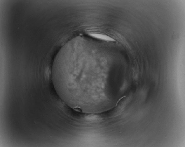 X0000089720669200707121432