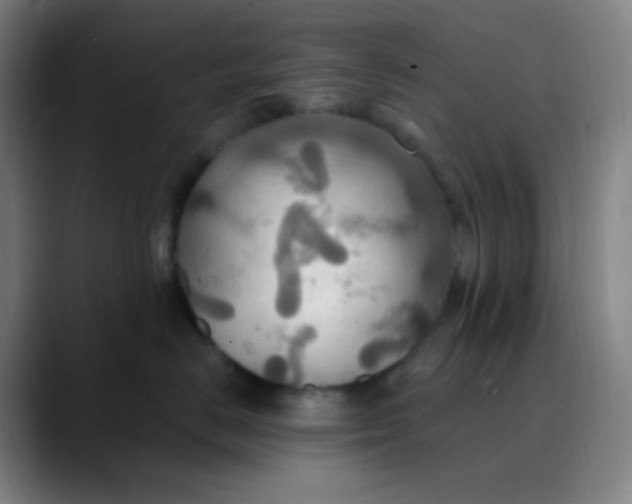 X0000089720670200707121432