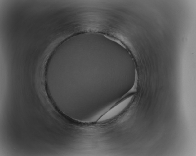 X0000089720673200707121431