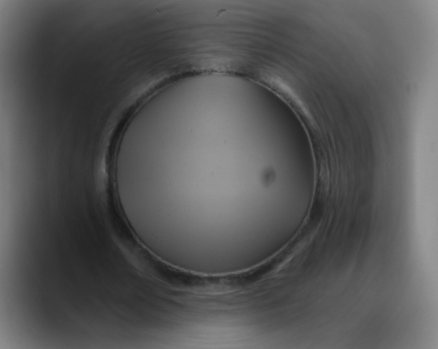 X0000089720674200707121431