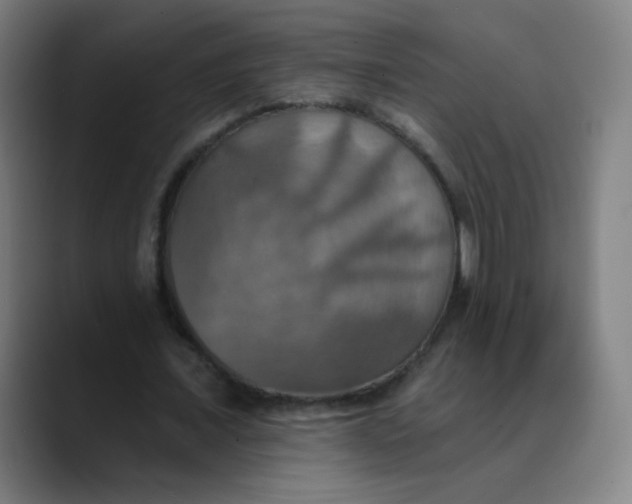 X0000089720675200707121431