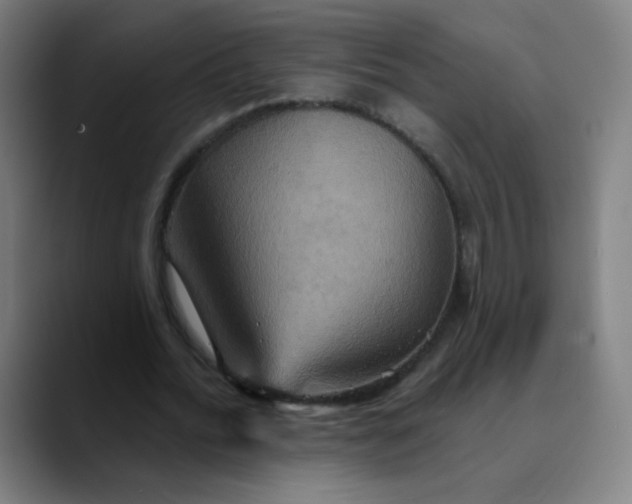 X0000089720676200707121431