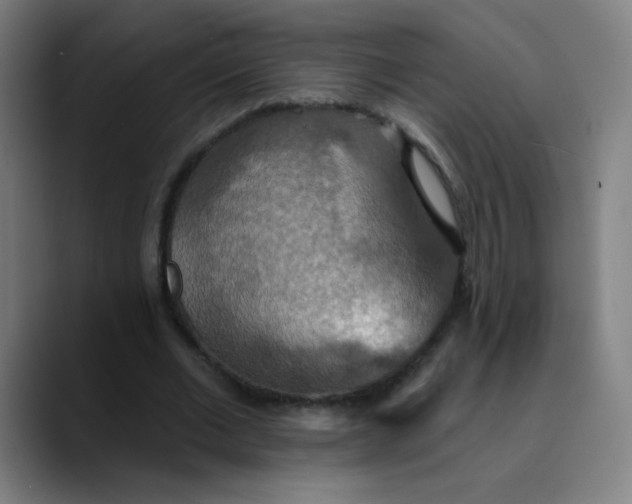 X0000089720677200707121431