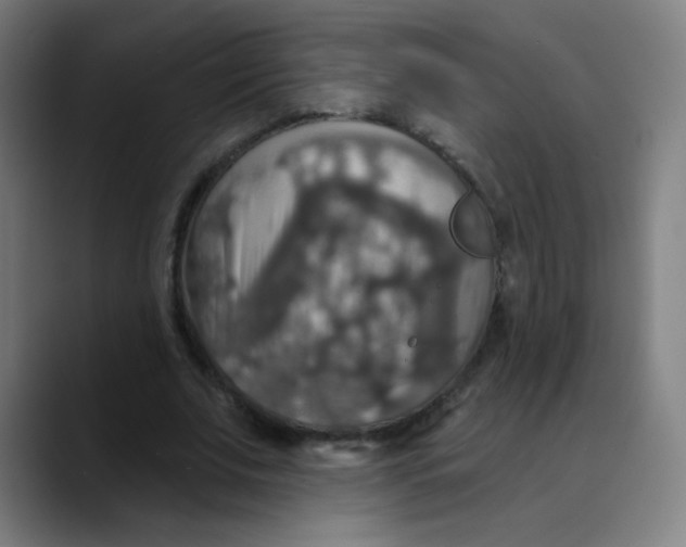 X0000089720679200707121431