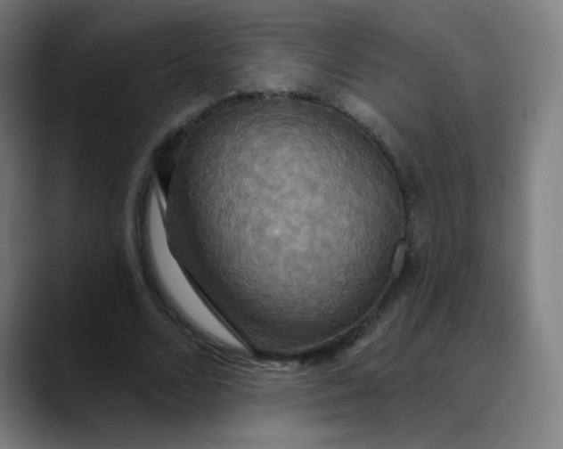 X0000089720680200707121431