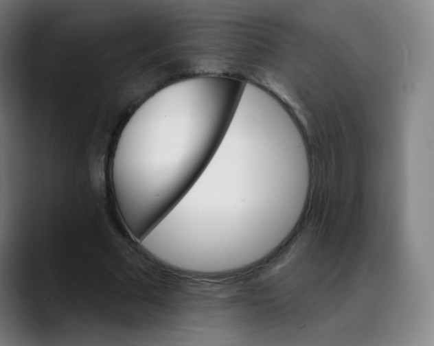 X0000089720681200707121431