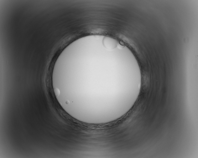 X0000089720682200707121431