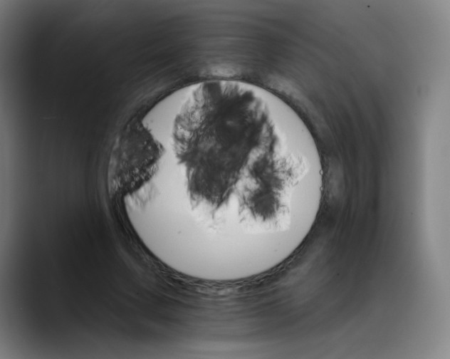 X0000089720683200707121431