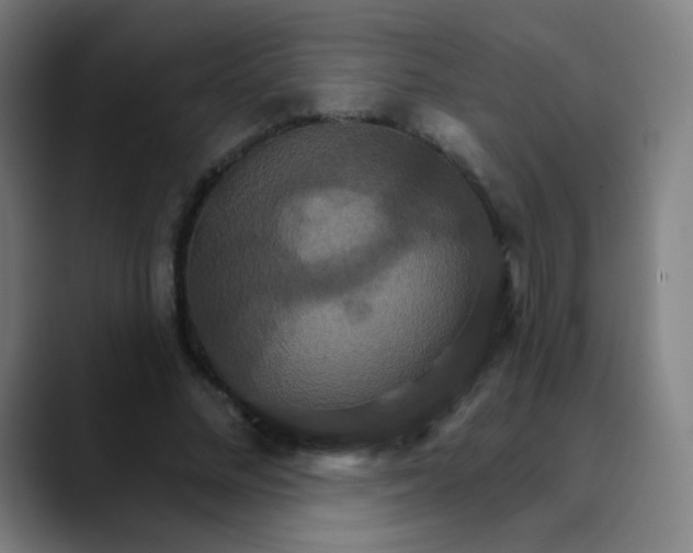 X0000089720684200707121431