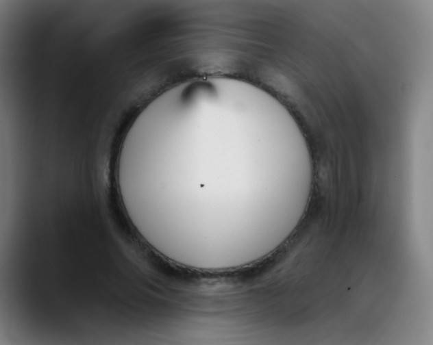 X0000089720686200707121431