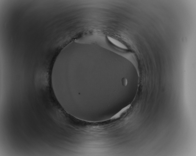 X0000089720689200707121431