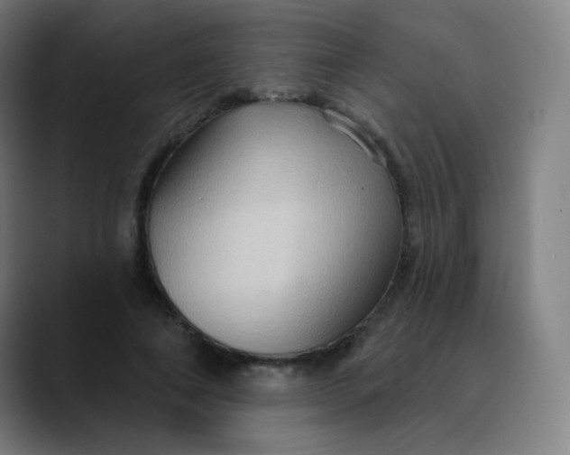 X0000089720690200707121431