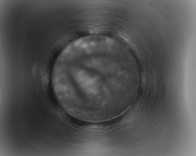 X0000089720691200707121431