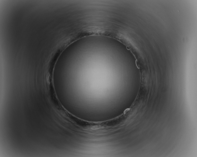 X0000089720692200707121431