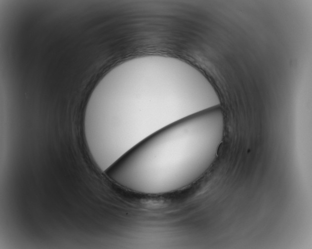 X0000089720693200707121431