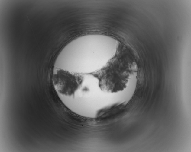 X0000089720695200707121431