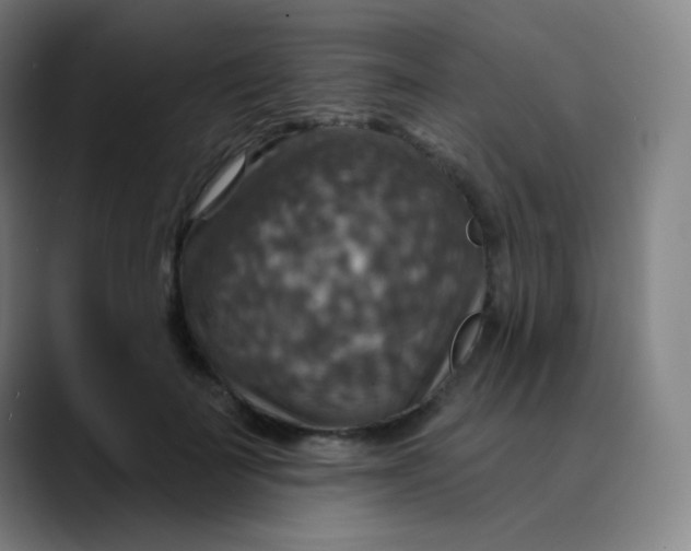 X0000089720699200707121431