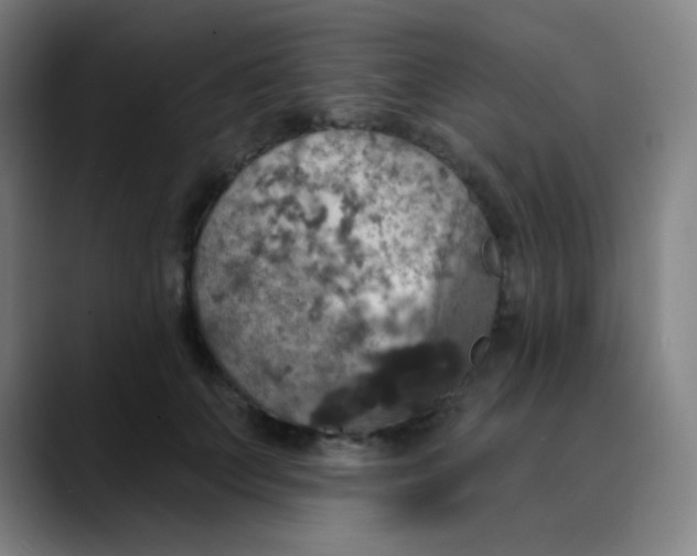 X0000089720703200707121431