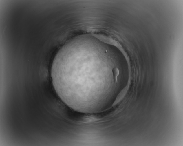 X0000089720704200707121431