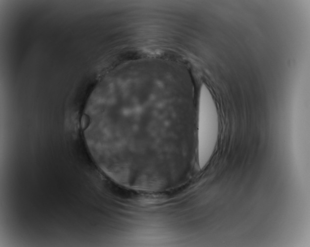 X0000089720707200707121431