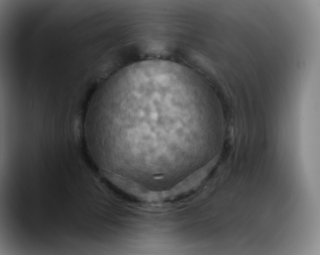 X0000089720708200707121431