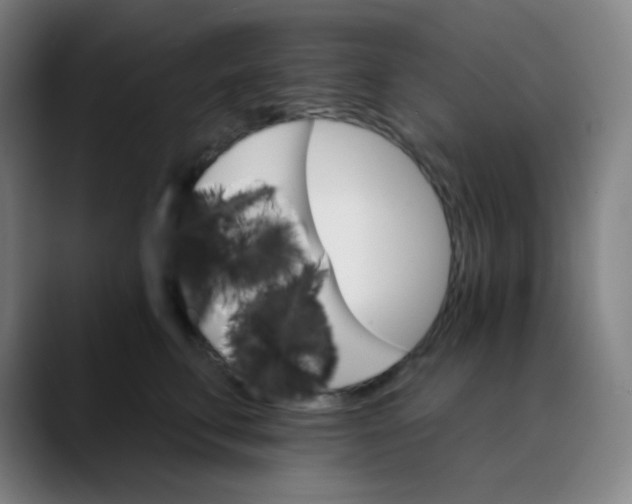 X0000089720711200707121431