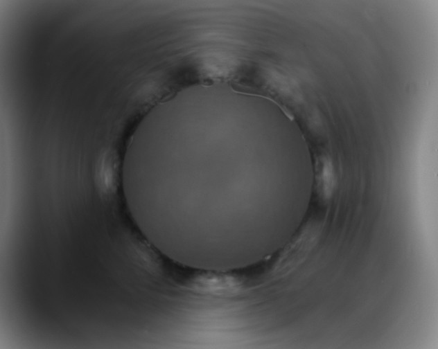 X0000089720712200707121431