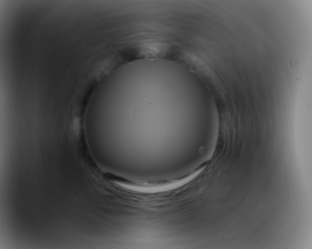 X0000089720716200707121431