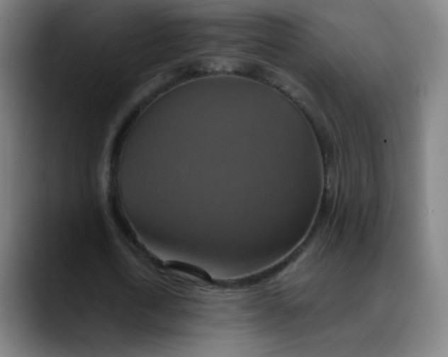 X0000089720722200707121430