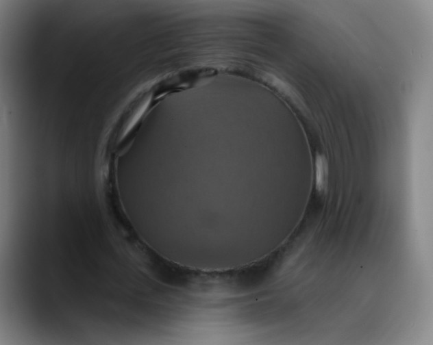 X0000089720723200707121430