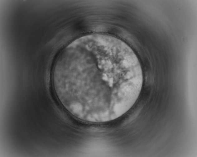 X0000089720725200707121430