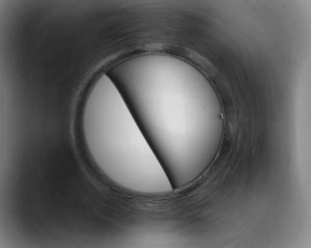 X0000089720728200707121430